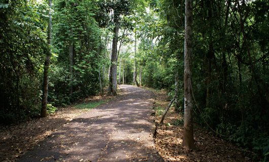 Parque Chico Mendes en Rio Branco