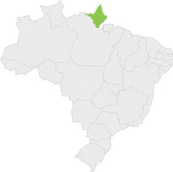 Mapa Estado Amapa