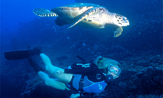 Buceo en Cear&aacute;