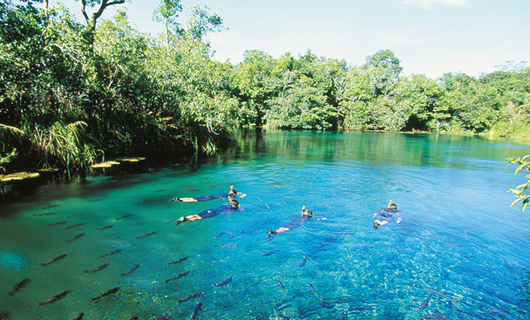 Bonito (MS)