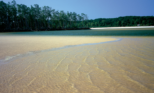 Playa de Araruna - Isla de Marajó (PA)