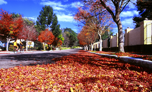 Oto&ntilde;o en las calles de Gramado (RS)